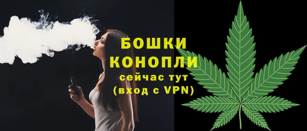 тгк Вяземский