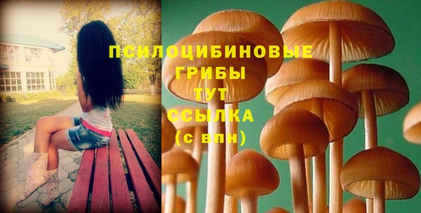 а пвп мука Верхний Тагил