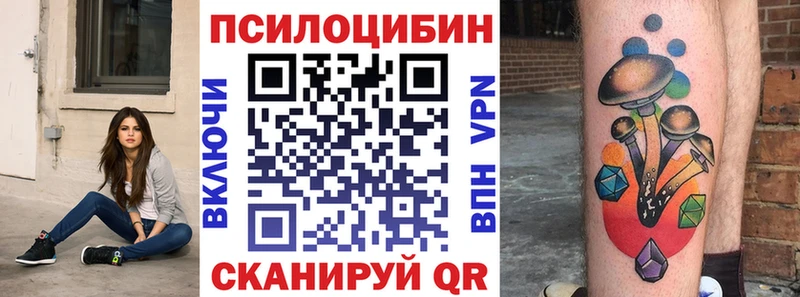где купить   Жуковка  Псилоцибиновые грибы Psilocybine cubensis 
